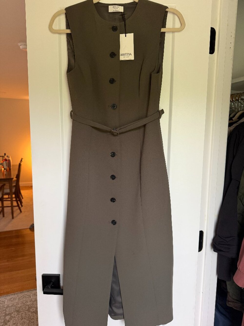 Aritzia Crepette Volute Dark Olive dress